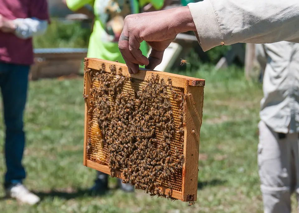 Slow Money placeholder image